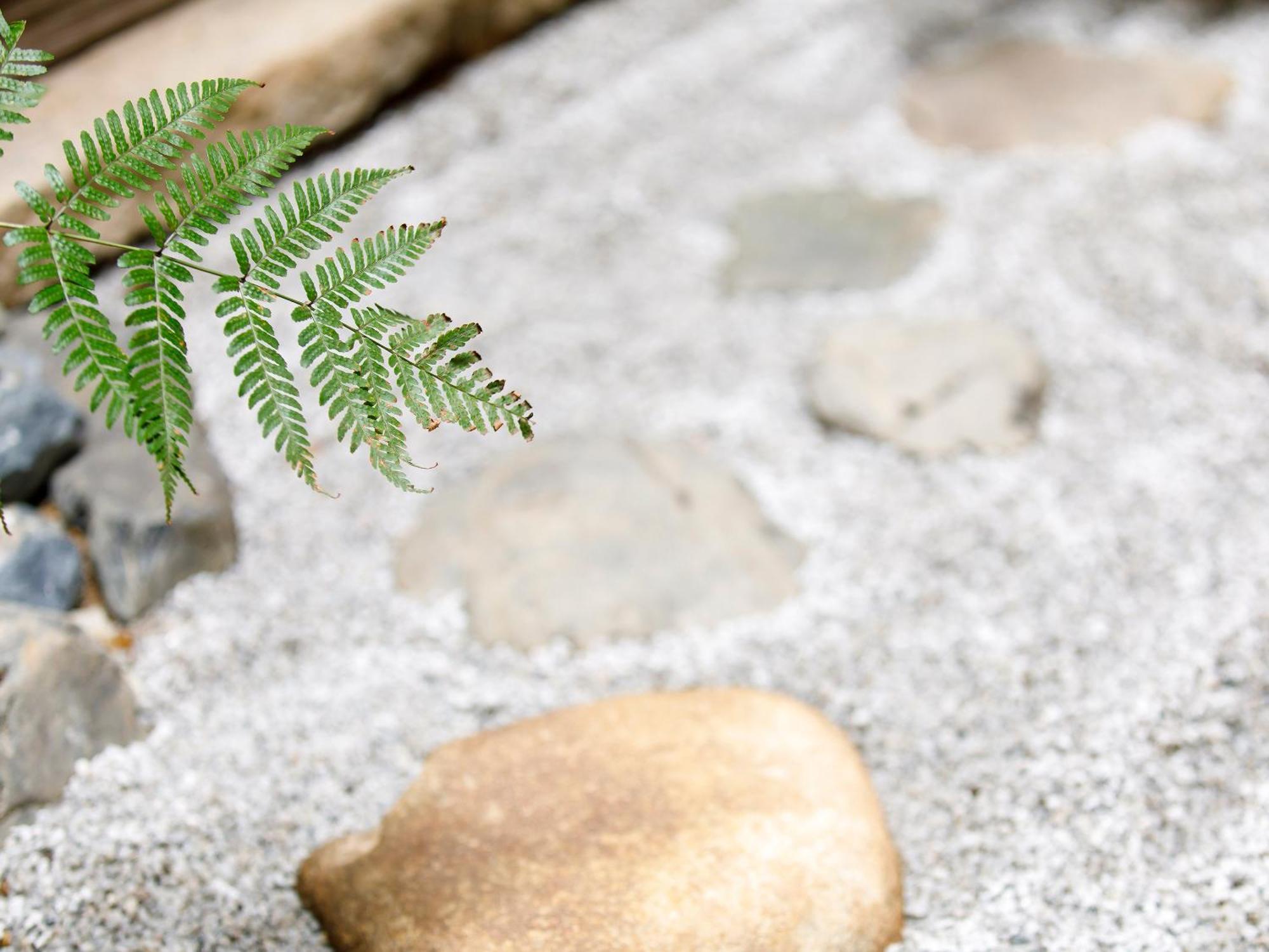枳殻の杜 Kikoku No Mori Otel Kyoto Dış mekan fotoğraf